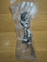 IMG_9826.jpeg