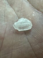IMG_9107.jpeg