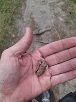 20250709_170610.jpg