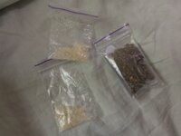 IMG_20250716_181359.jpg