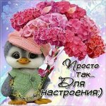 IMG_3510.jpeg