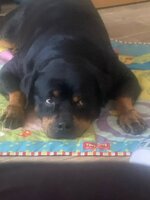IMG_20250719_072436_051.jpg