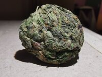 IMG_20250706_201441.jpg