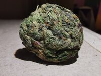 IMG_20250706_201447.jpg