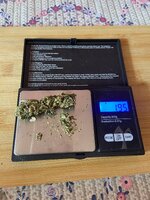 IMG_6391.jpeg