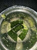IMG_2455.jpeg