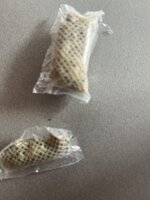 IMG_1915.jpeg