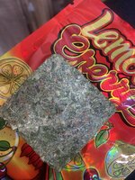 IMG_0469.jpeg