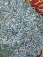 IMG_0470.jpeg