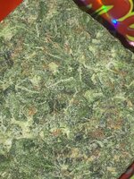 IMG_0471.jpeg