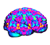 IMG_3550.gif