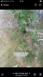 38F5829F-91CC-4247-9AAD-8D9F5ADFC438.png