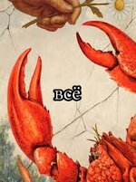 IMG_3565.jpeg