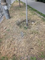 IMG_20250722_134441_308.jpg
