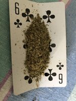 IMG_1184.jpeg