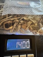 IMG_2493.jpeg