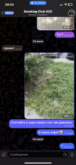IMG_1936.png