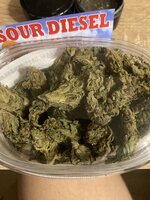 IMG_0286.jpeg
