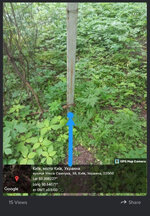 signal-2025-07-25-032916.jpeg