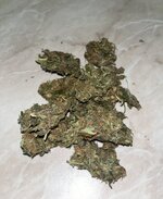 IMG_2529.jpeg