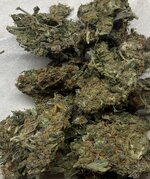 IMG_2527.jpeg