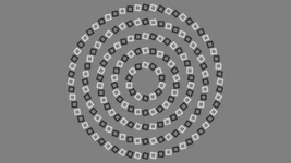 1753429710885.png