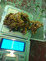 IMG_20250725_130032_423.jpg