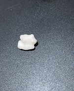IMG_7589.jpg