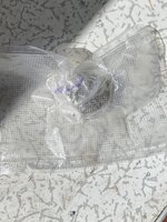 IMG_0239.jpeg