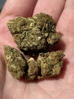IMG_0243.jpeg