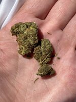 IMG_0240.jpeg