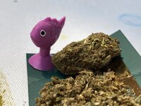 IMG_0250.jpeg