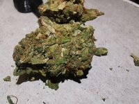 IMG_20250726_101155_128.jpg