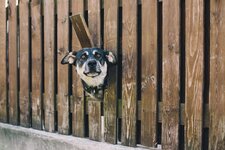 IMG_3678.jpeg