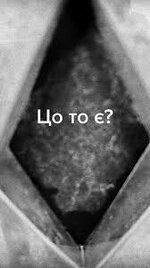 IMG_3680.jpeg