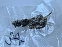 IMG_3684.jpeg