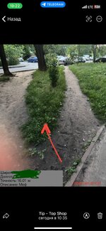 IMG_4824.jpeg