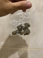 IMG_5104.jpeg