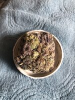 IMG_7534.jpeg