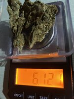 IMG_5752.jpeg