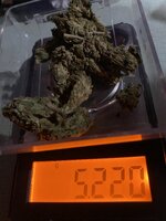 IMG_5753.jpeg