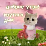 1000002526.jpg