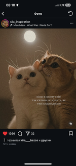 IMG_2567.png