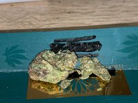 IMG_0358.jpeg