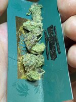 IMG_0365.jpeg