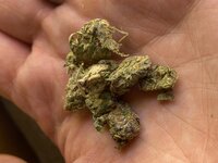 IMG_0366.jpeg