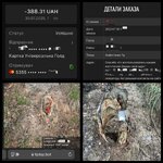 IMG_1753.jpeg