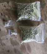 IMG_3773.jpeg