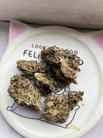 IMG_3301.jpeg