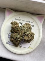 IMG_3305.jpeg